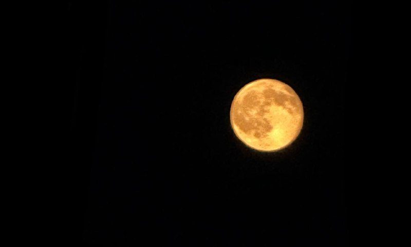 The Moon up close: a telescope observation